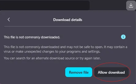 Firefox: Select "Allow download"
